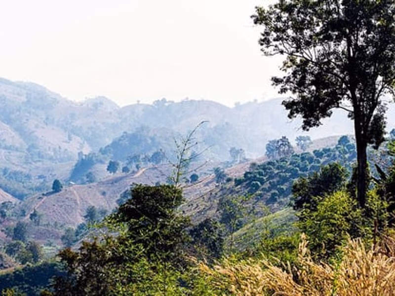Tha Wang Pha