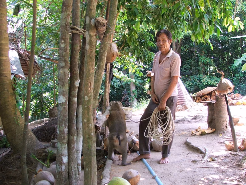 Ko Samui Ko Samui